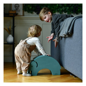 BObles - Mueble de escalada de EVA con temática de elefante | Verde