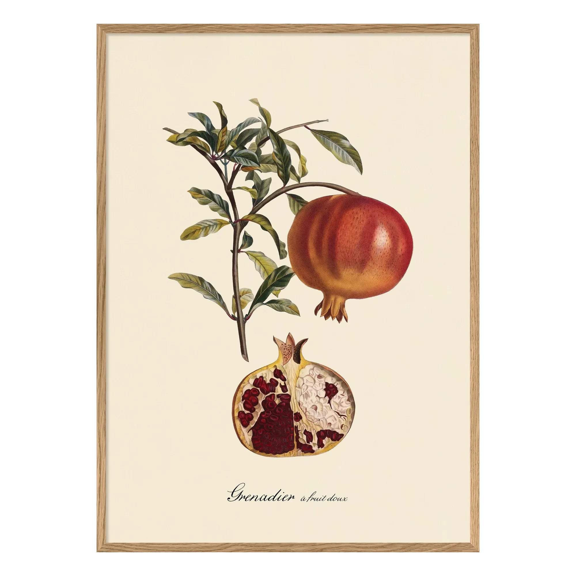 The Dybdahl Co. - Póster de Granada Dulce Frutal