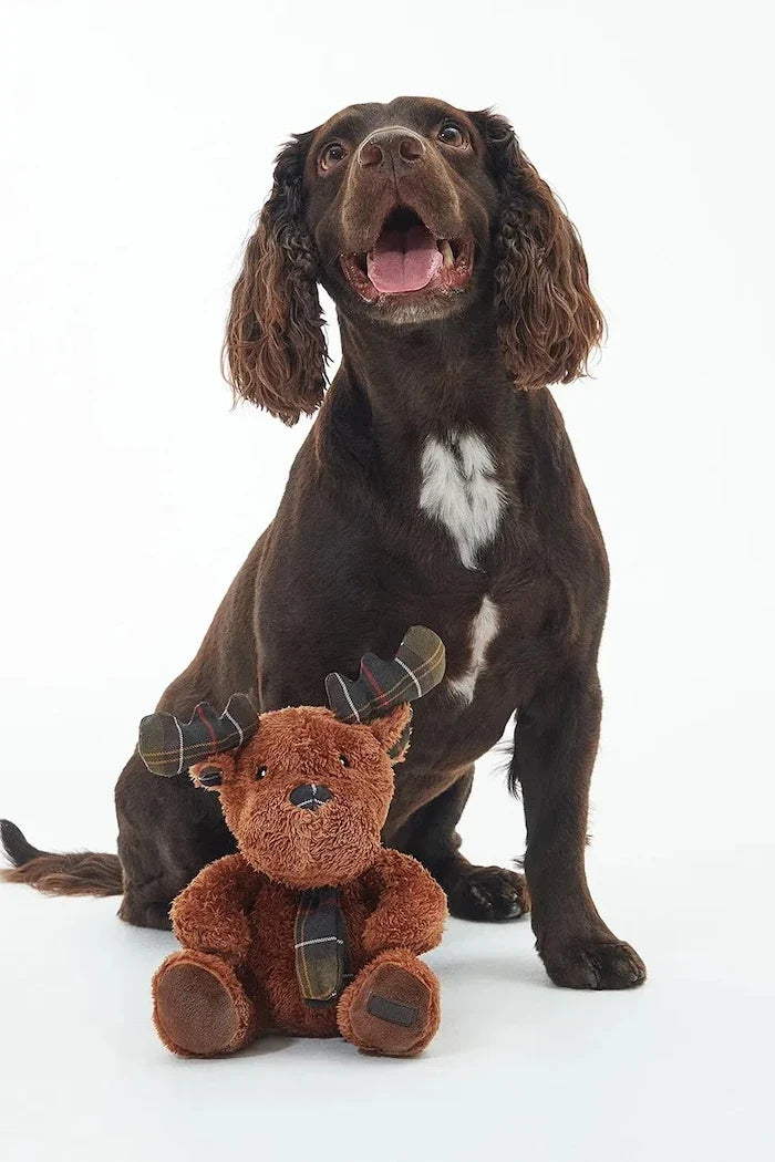 Juguete para perro Barbour Reno 19 cm