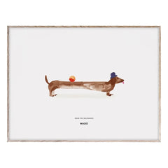 Mado - Póster Doug el Perro Salchicha 40x30 cm