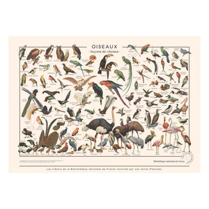 Les Jolies Planches - Casetas para pájaros