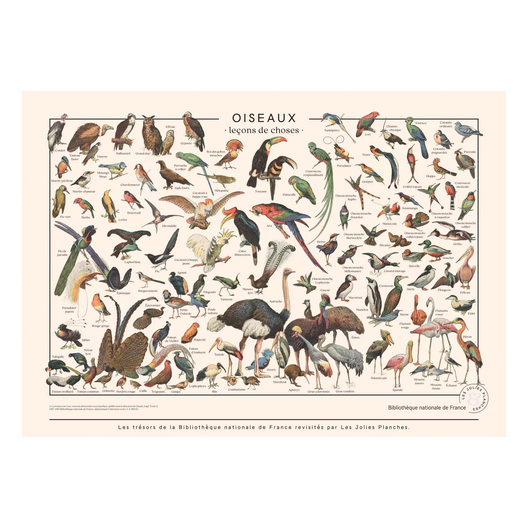 Les Jolies Planches - Casetas para pájaros