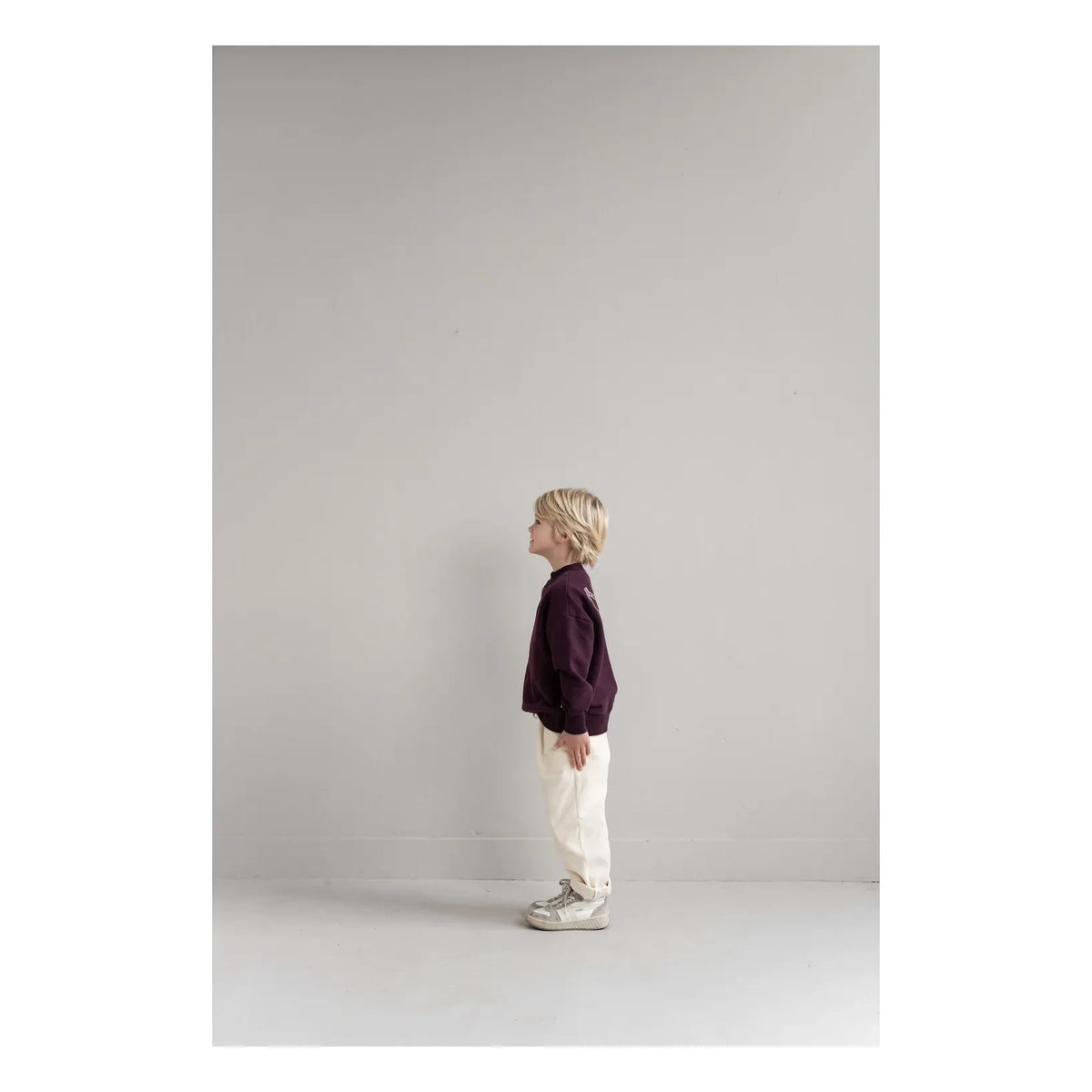 Jenest - JNST organik pamuk sweatshirt | Bordo