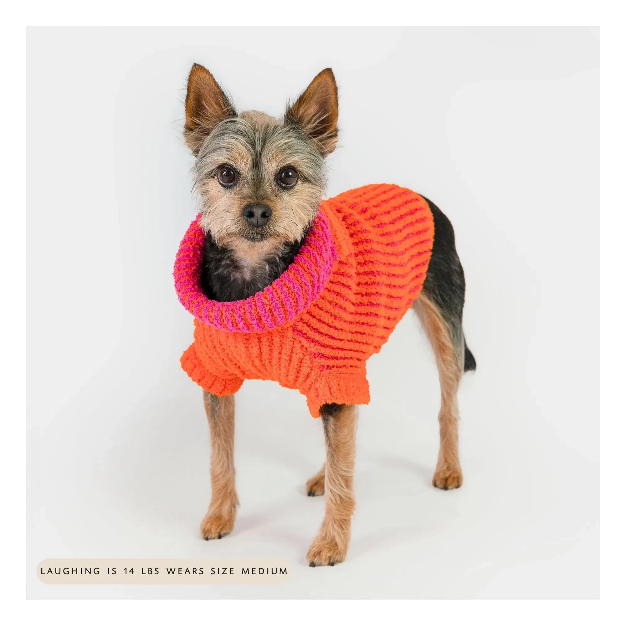 The Furry Folks - Pull Rib | Naranja