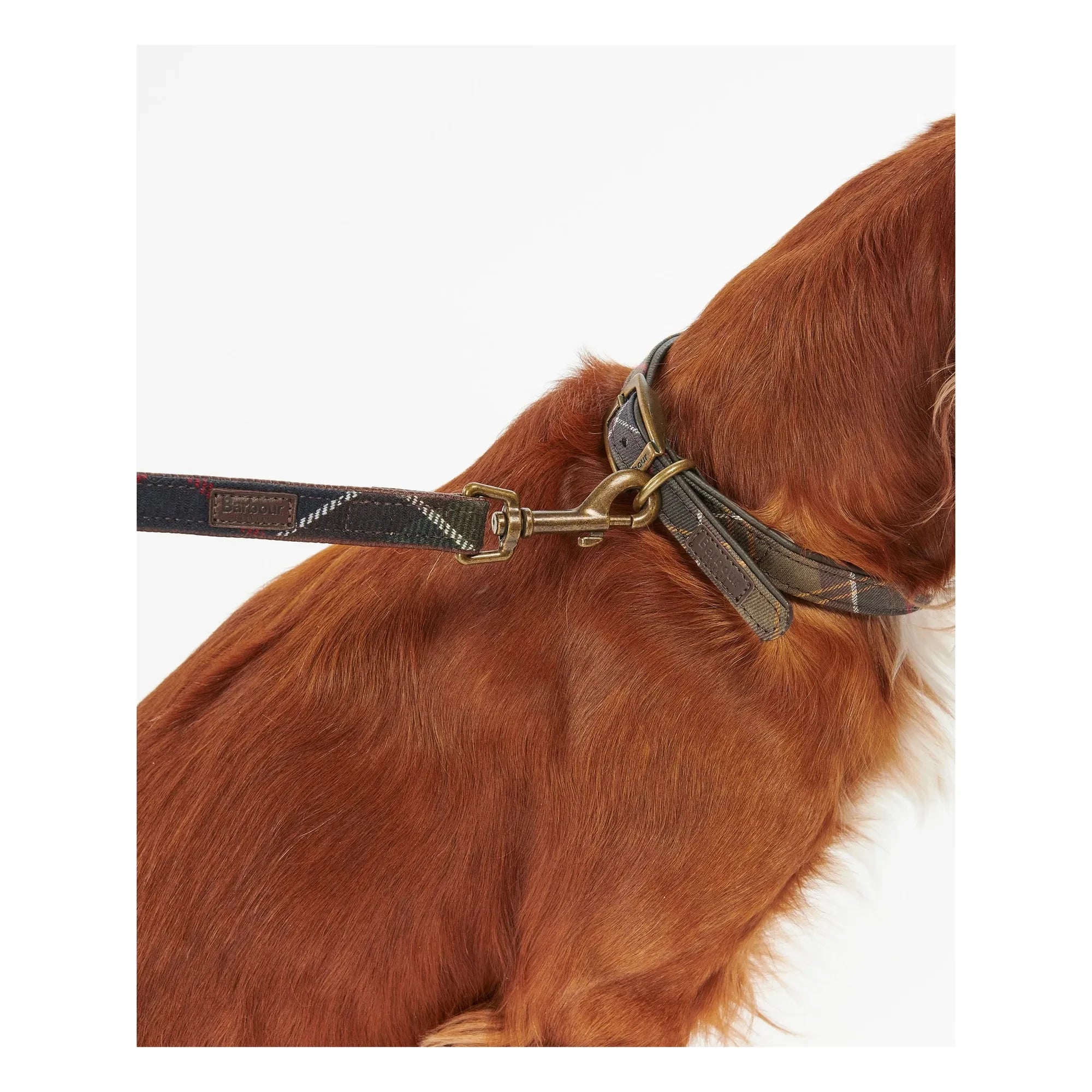 Barbour - Collar para perro de tartán | Marrón oscuro