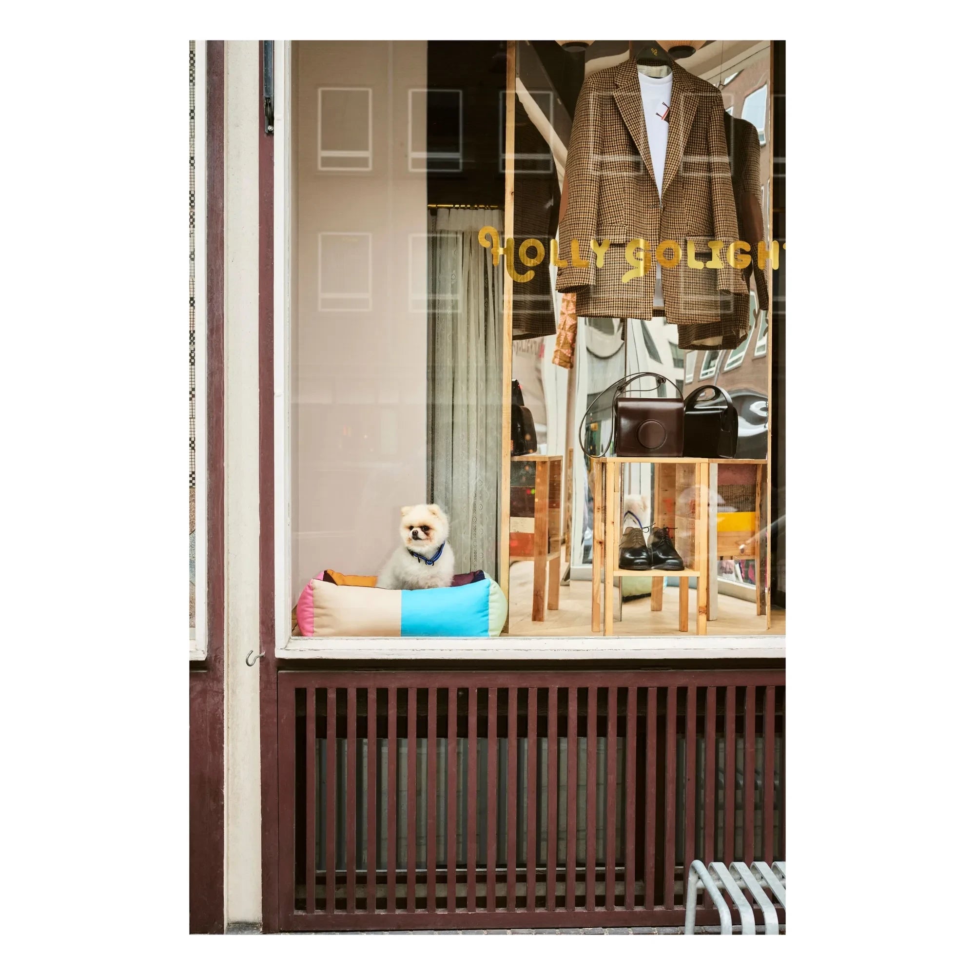 Hay - Cama para perro