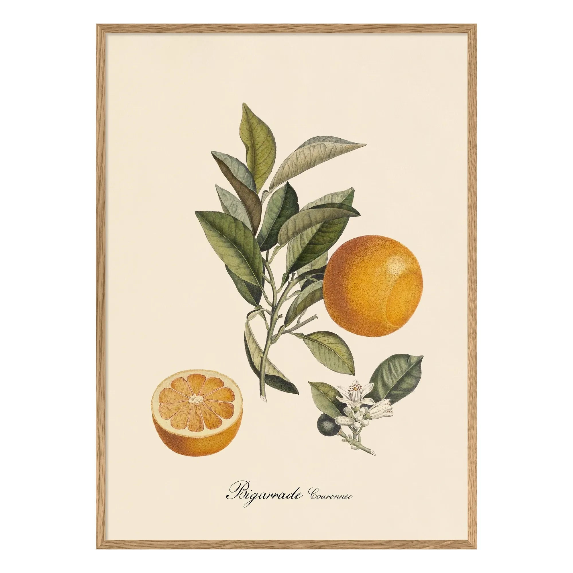 The Dybdahl Co. - Póster de Bigarrade con corona