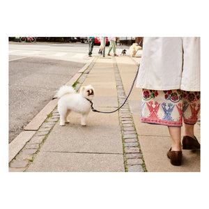 Hay - Collar ajustable | Lavanda