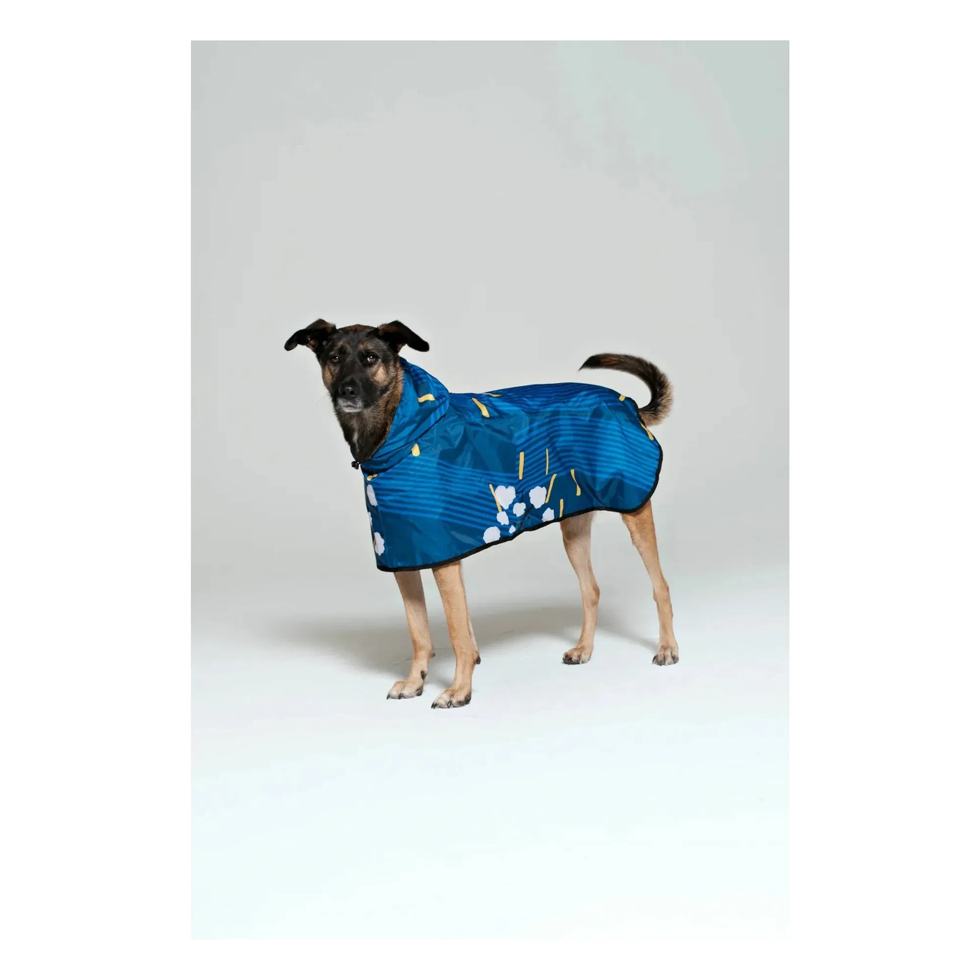Rainkiss - Capa de lluvia impermeable para perros Japanese Blossom | Azul