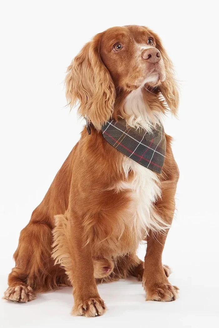 Bandana Barbour Tartan para perro