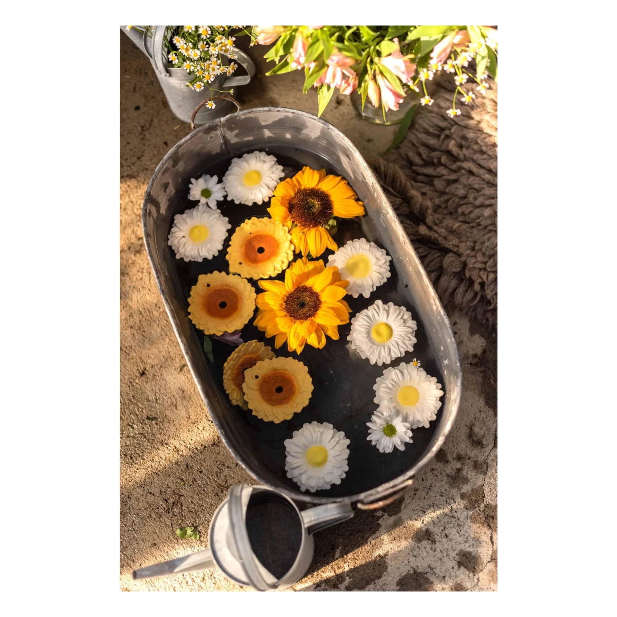 Oli & Carol - Aro mordedor Sun el girasol