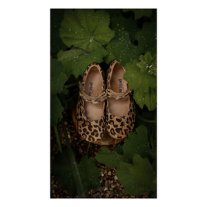 Petit Nord - Merceditas con forma de concha y estampado de leopardo | Marrón