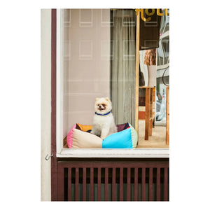 Hay - Cama para perro