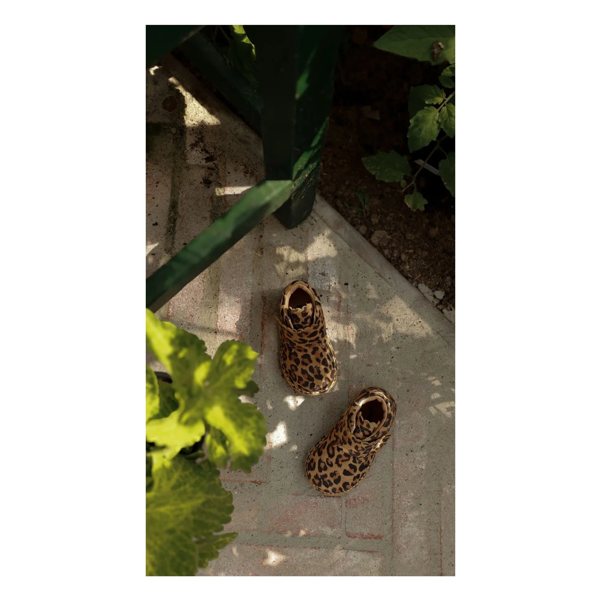 Petit Nord - Botines deportivos con estampado de leopardo y borde ondulado | Marrón