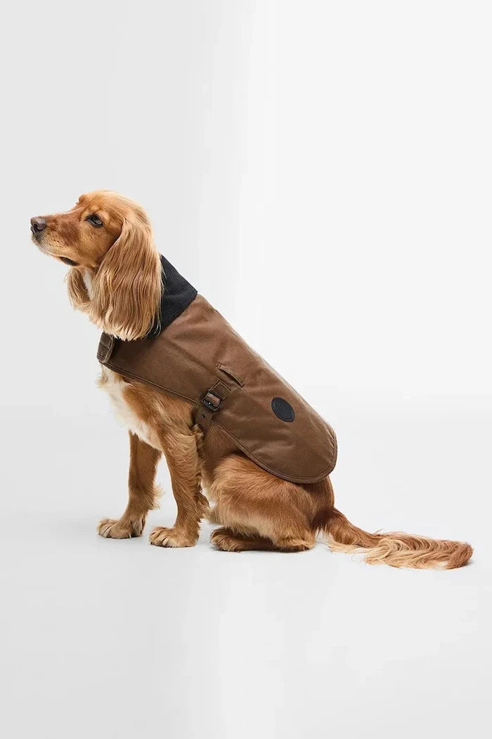 Abrigo para perro Barbour