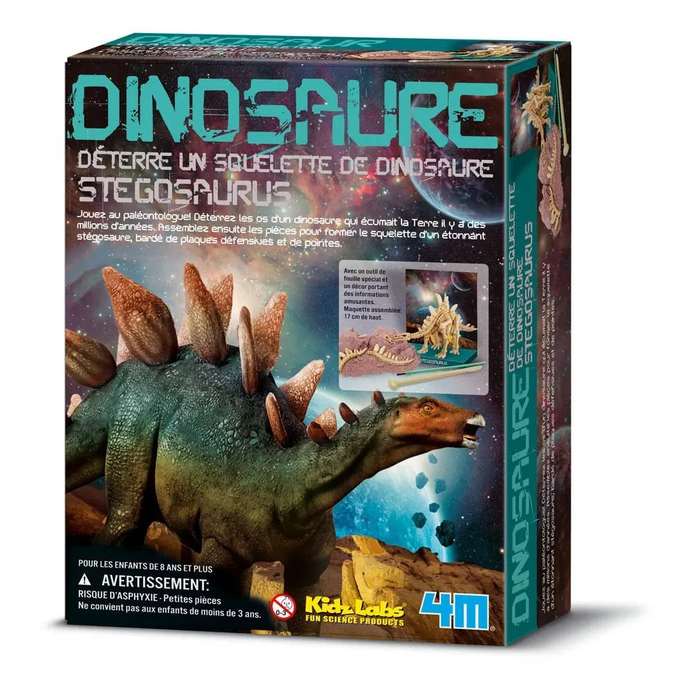 4M - Kit para Excavar un Estegosaurio