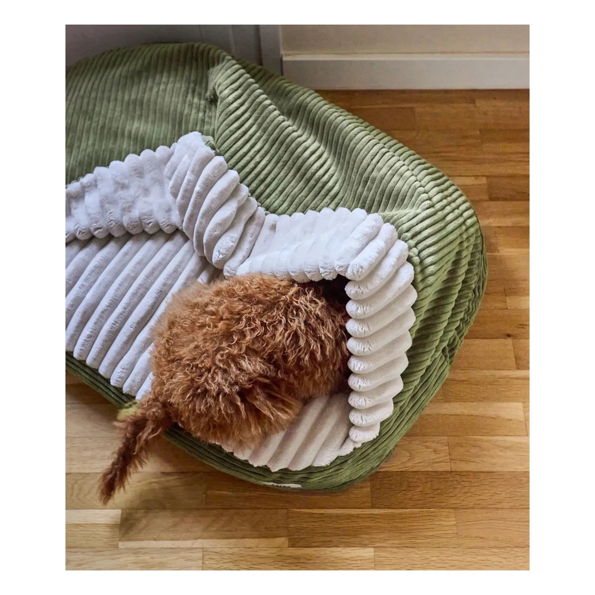 Cafide - Cama para perros con mecha de carne | Verde