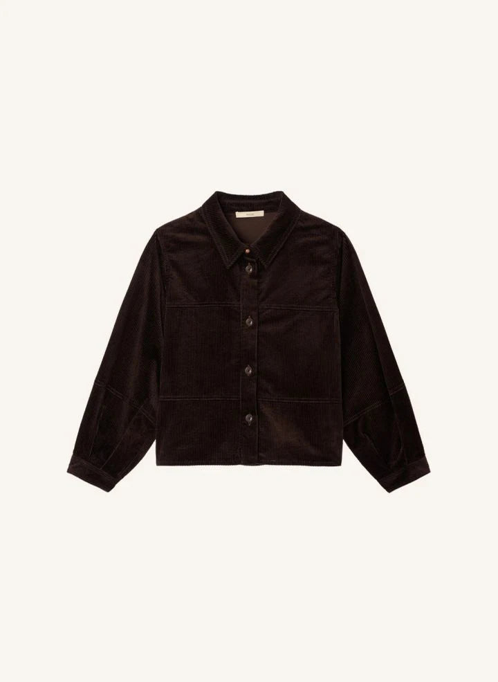 Sessùn - Leotown blusa de algodón orgánico | Marrón