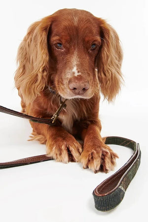 Collar para perro Barbour Classic Tartan