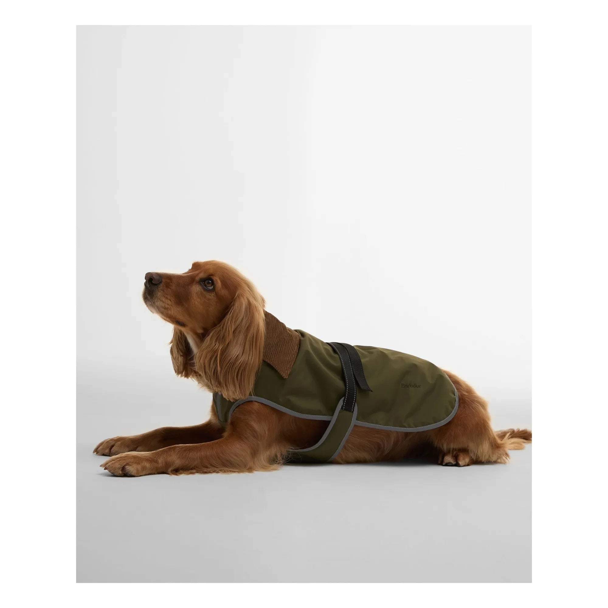 Barbour - Abrigo impermeable para perro Monmouth | Verde oliva
