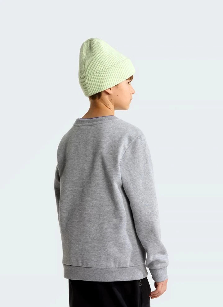 The North Face - Sudadera Simple Done | Gris melange