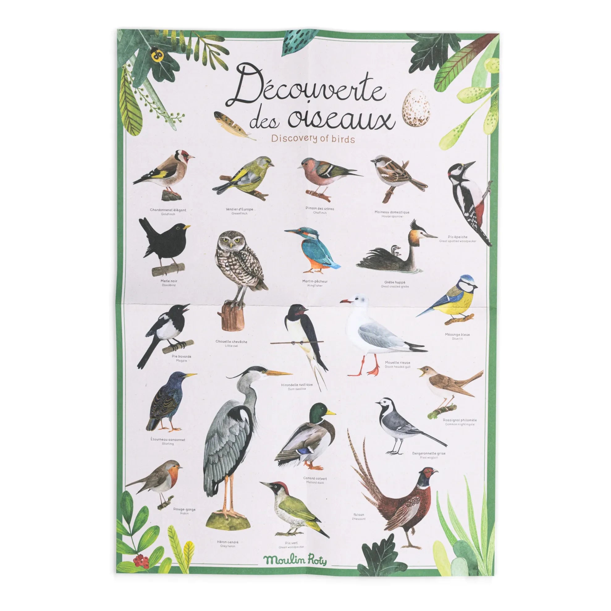 Moulin Roty - Juego de exploración de pájaros