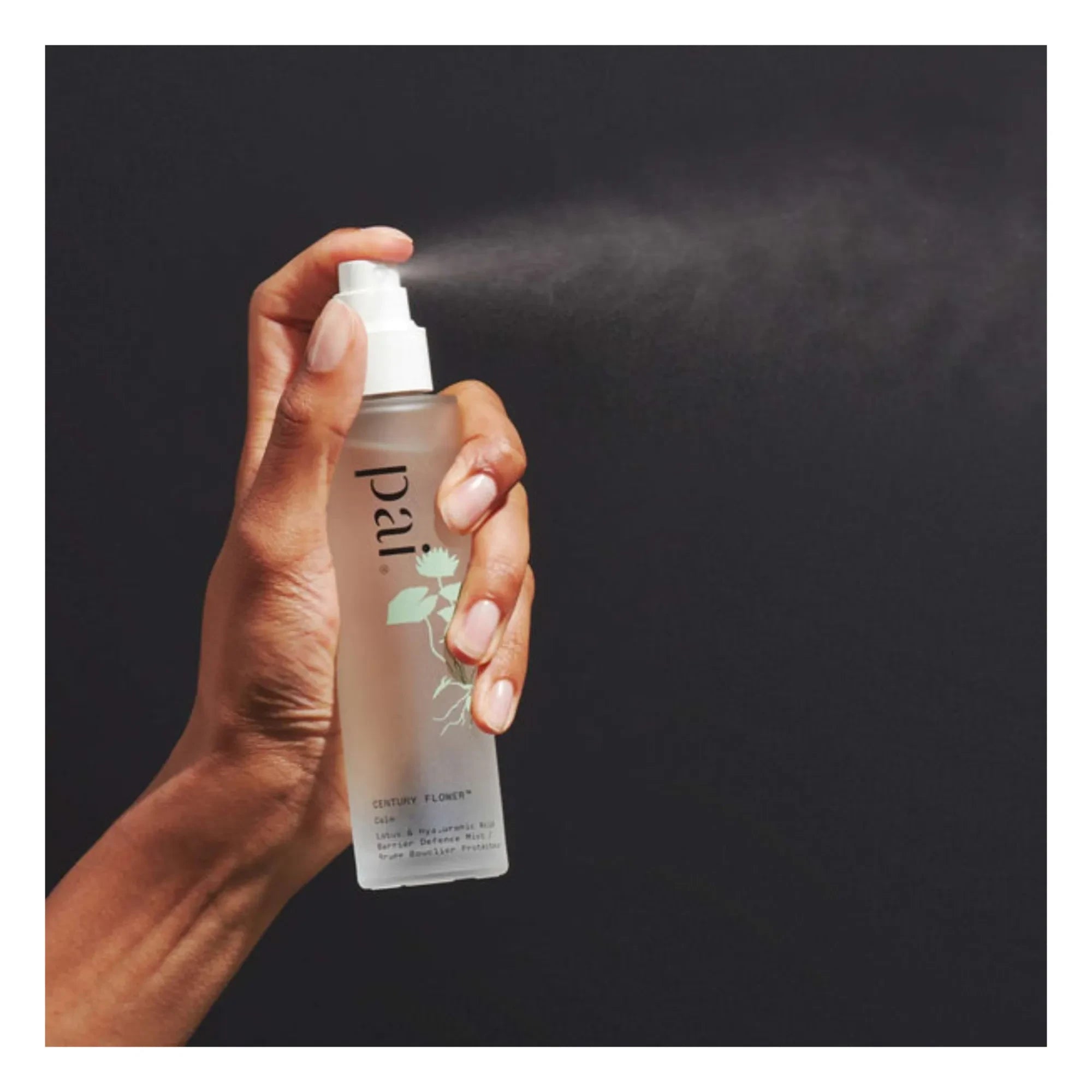 Pai Skincare - Bruma de Defensa con Flor de Siglo - 100 ml