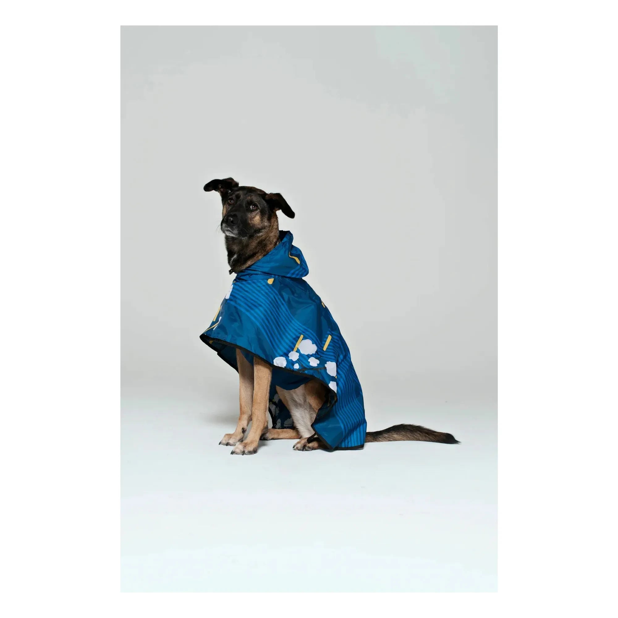 Rainkiss - Capa de lluvia impermeable para perros Japanese Blossom | Azul