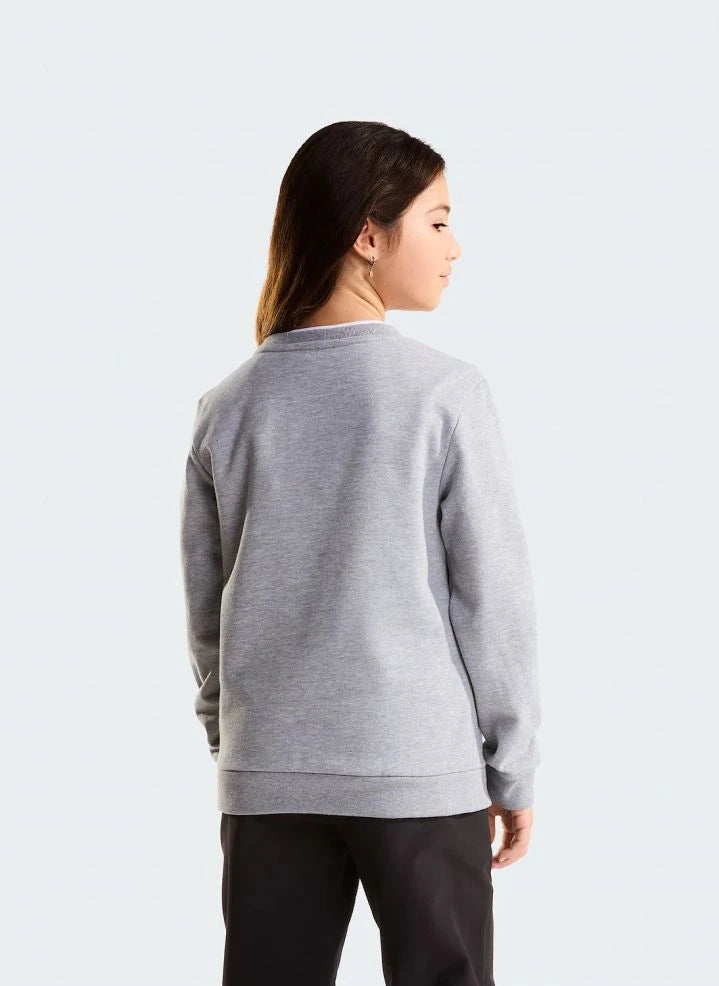 The North Face - Sudadera Simple Done | Gris melange