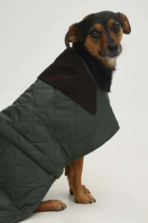 Chaqueta Barbour para Perro