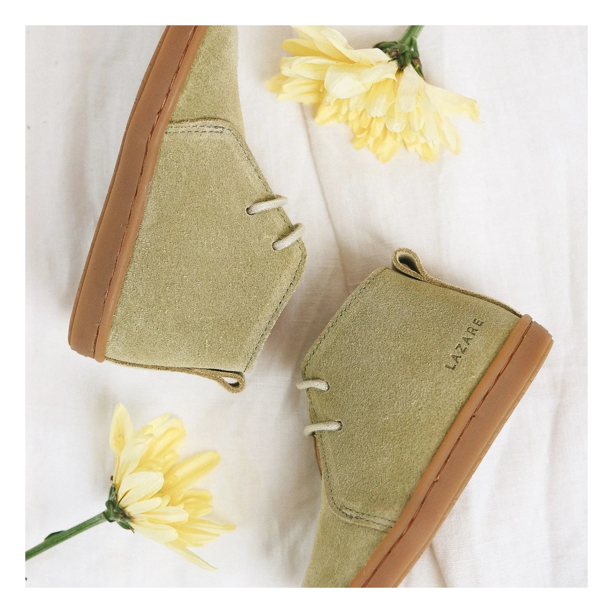 Lazare - Zapatillas de cordones de ante Raoul | Verde almendra