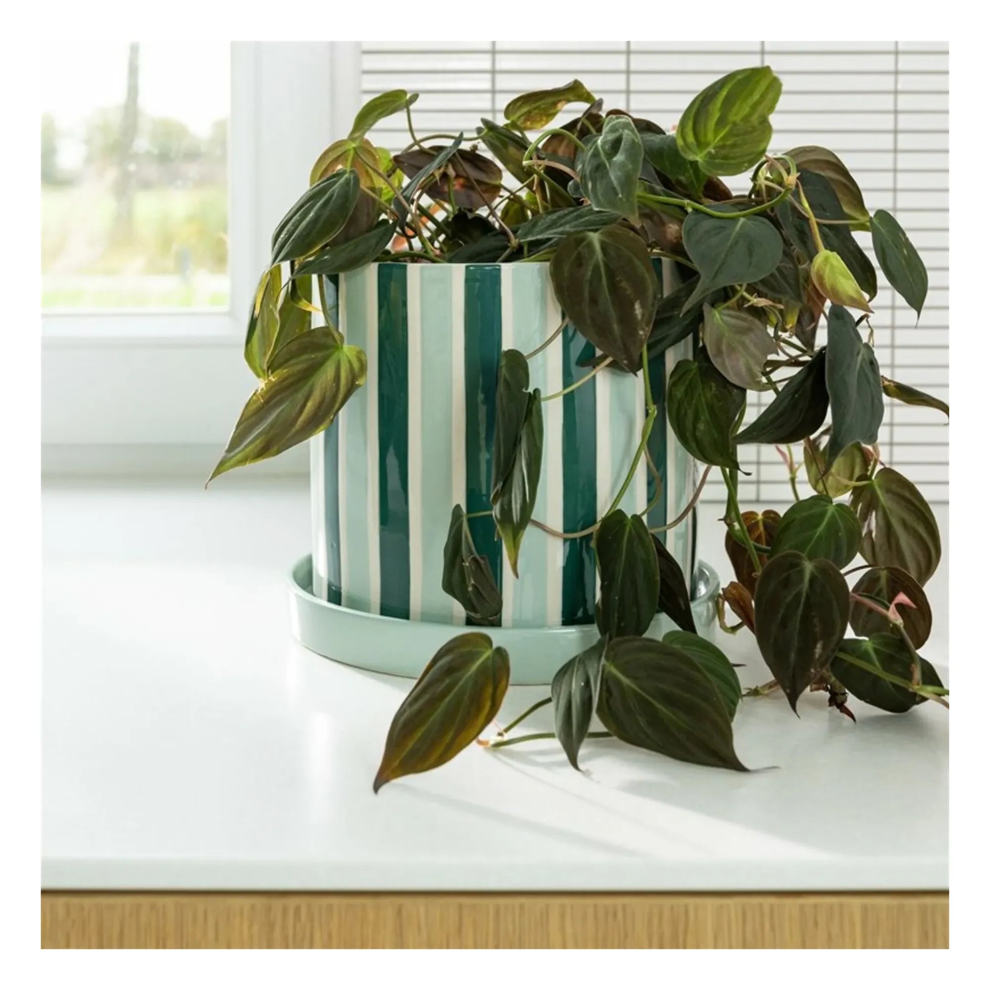 &Klevering - Maceta Clash Stripe | Verde