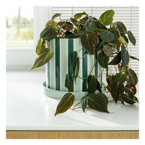 &Klevering - Maceta Clash Stripe | Verde