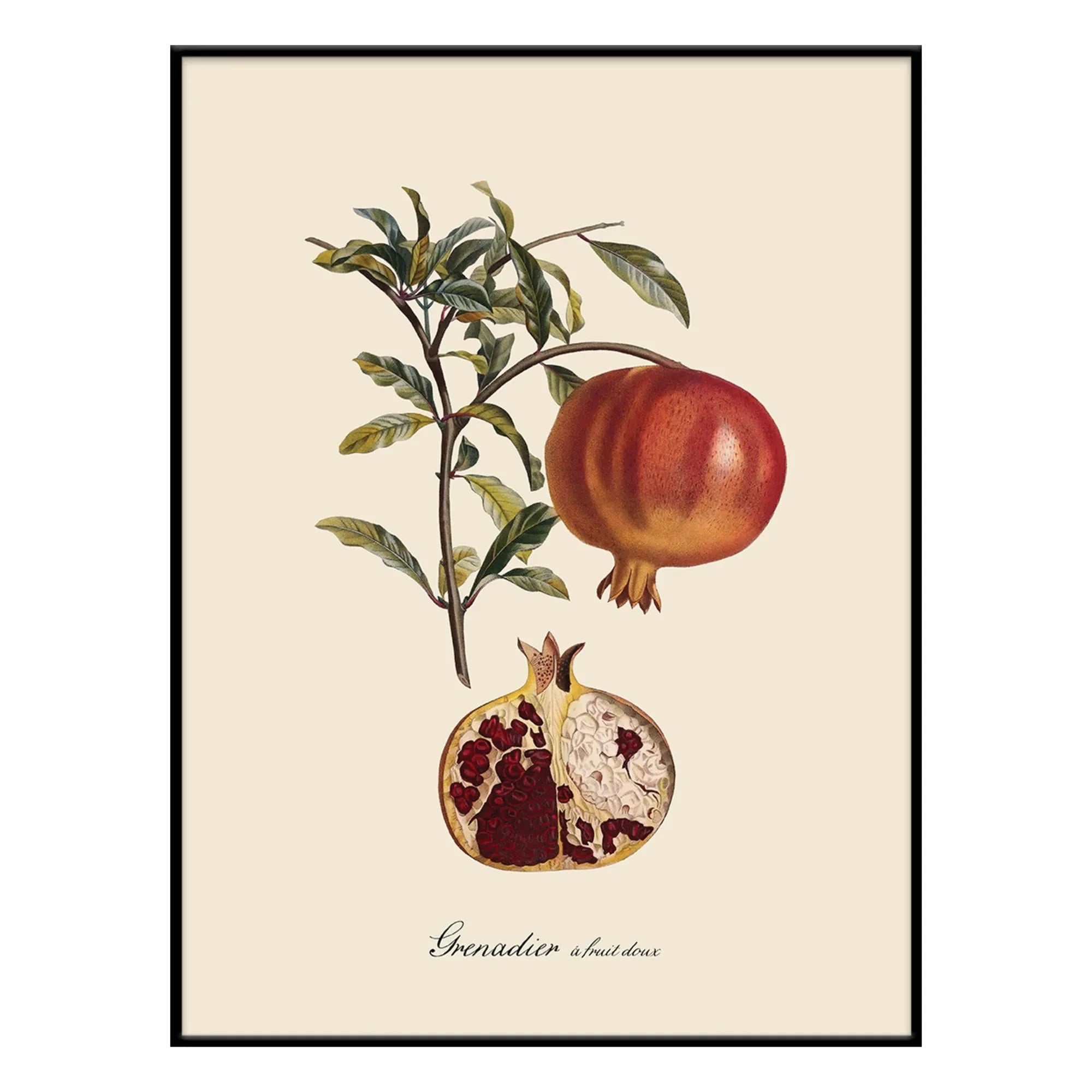 The Dybdahl Co. - Póster de Granada Dulce Frutal