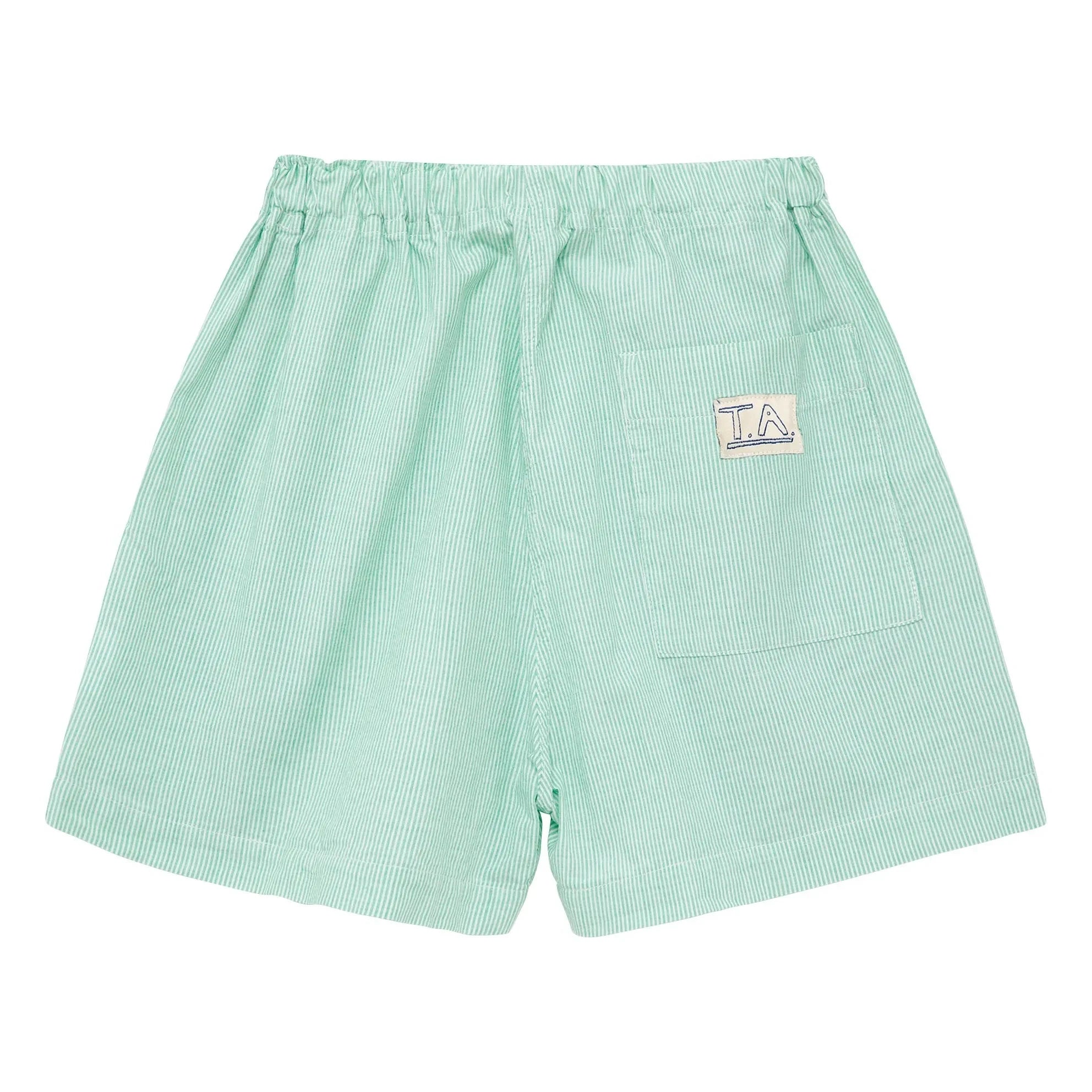 True Artist - Pantalones cortos a rayas verdes N°11