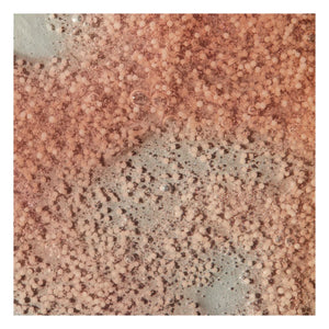 Holidermie - Jabón de Manos y Exfoliante - 480 ml