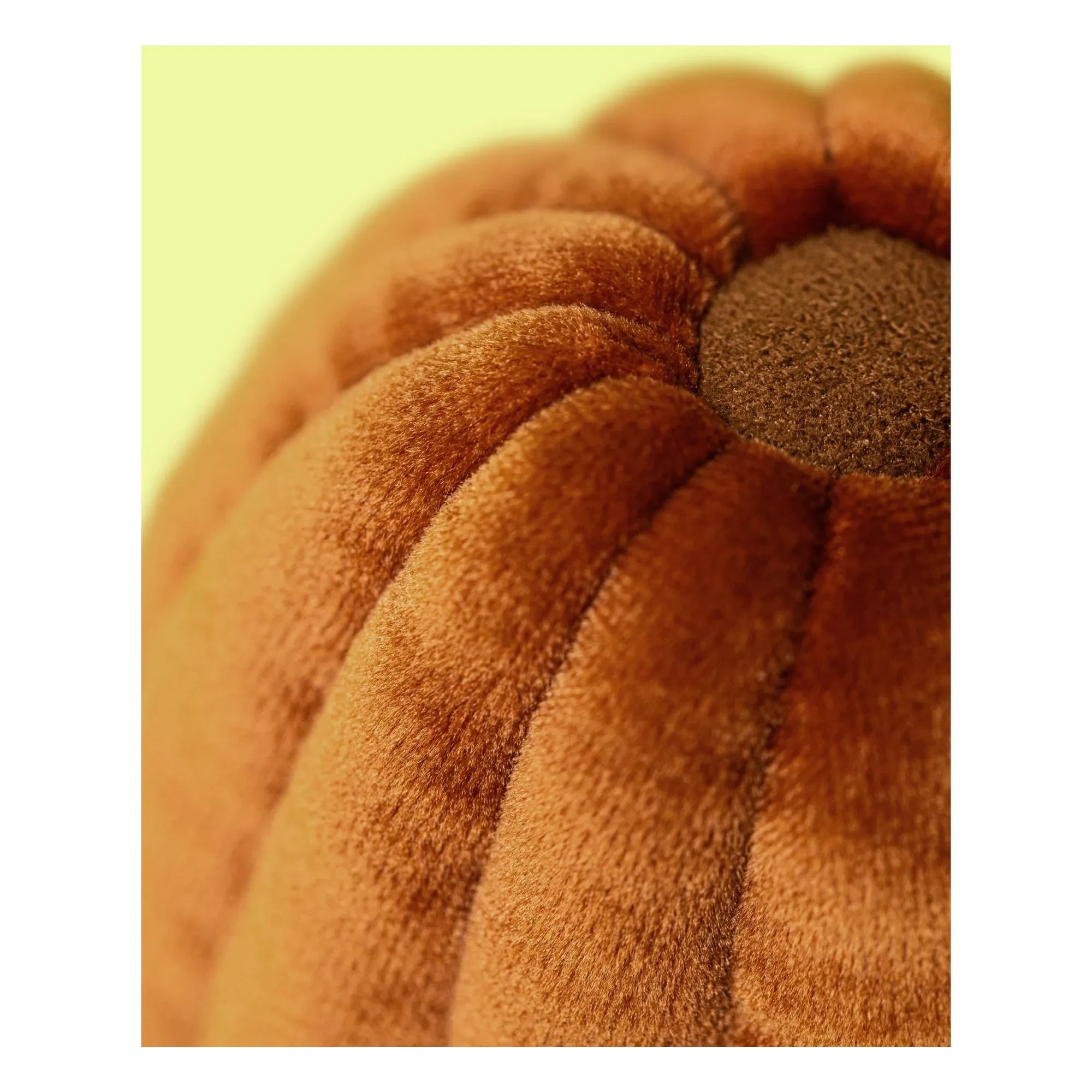 Jellycat - Carole Acanalada Felpa | Marrón