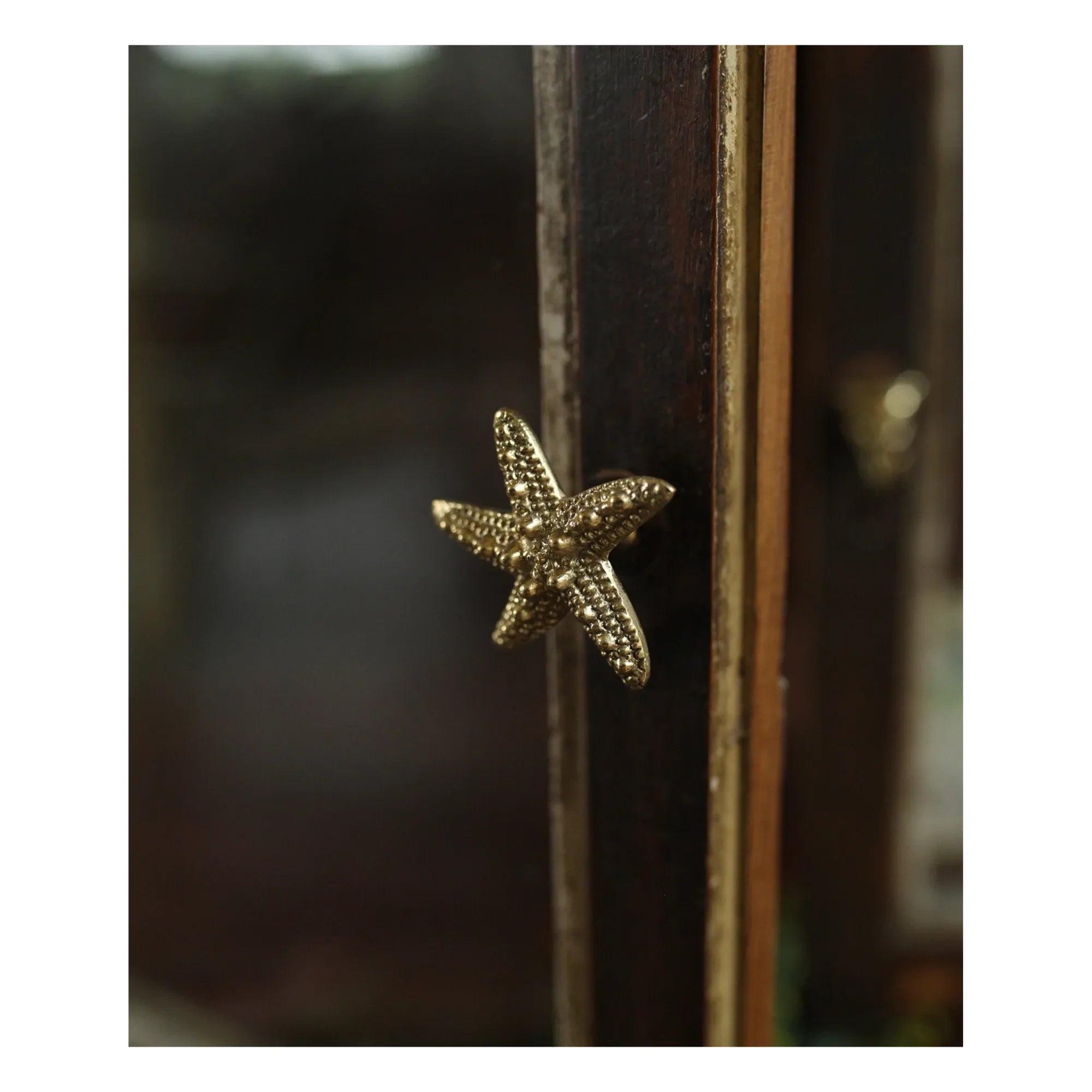 Doing Goods - Estrella de Mar Ruby de Latón | Dorado