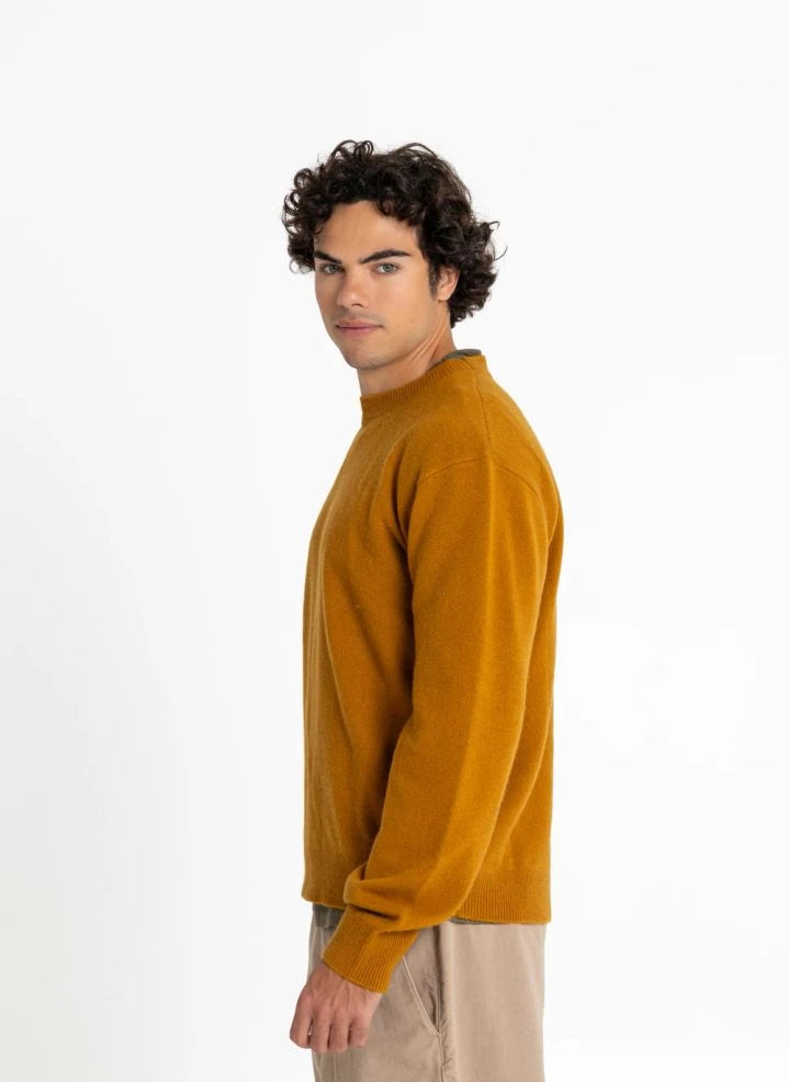 Smallable Man - Suéter de Merino Mozart | Mostaza