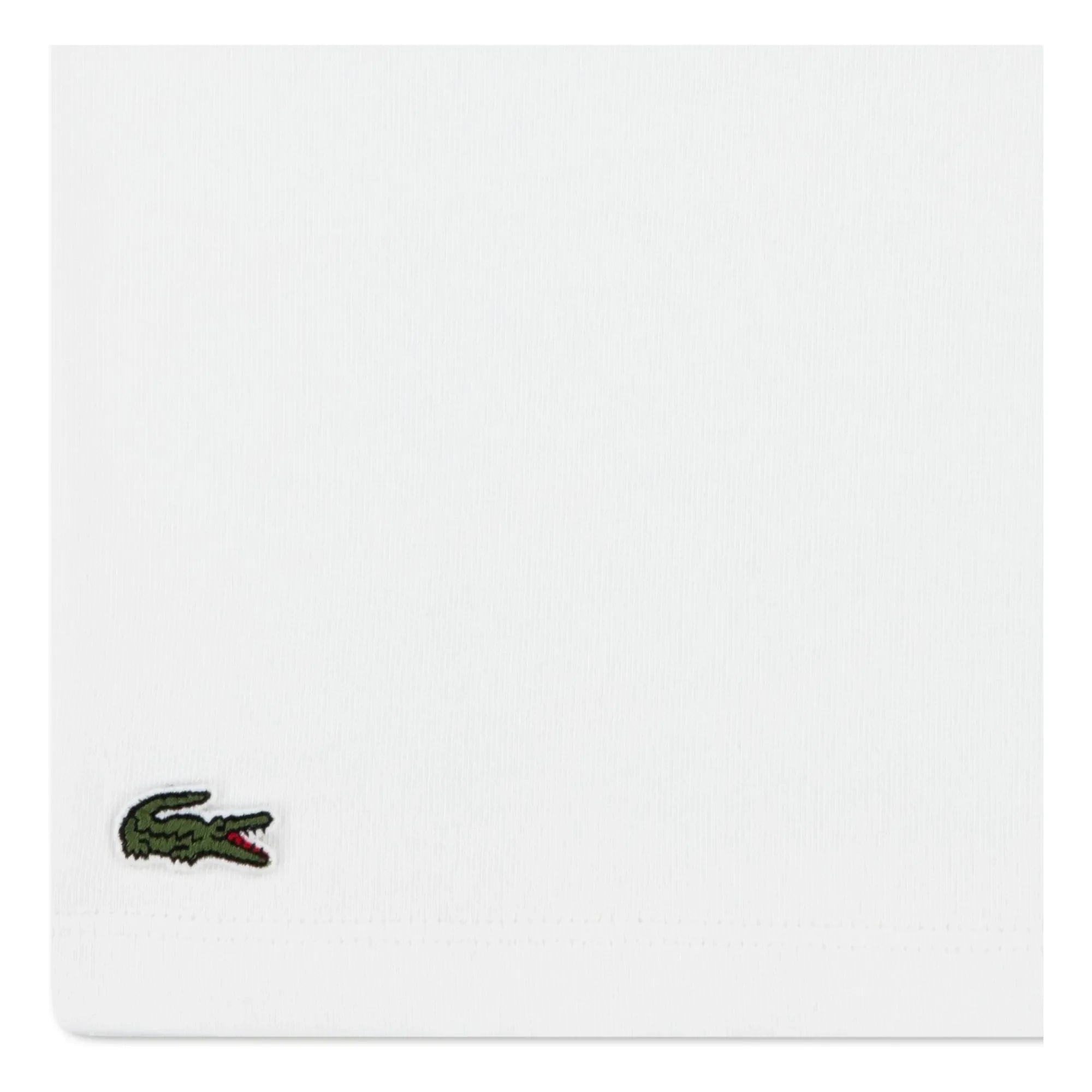 Lacoste - Camiseta de algodón orgánico con contraste | Blanco roto