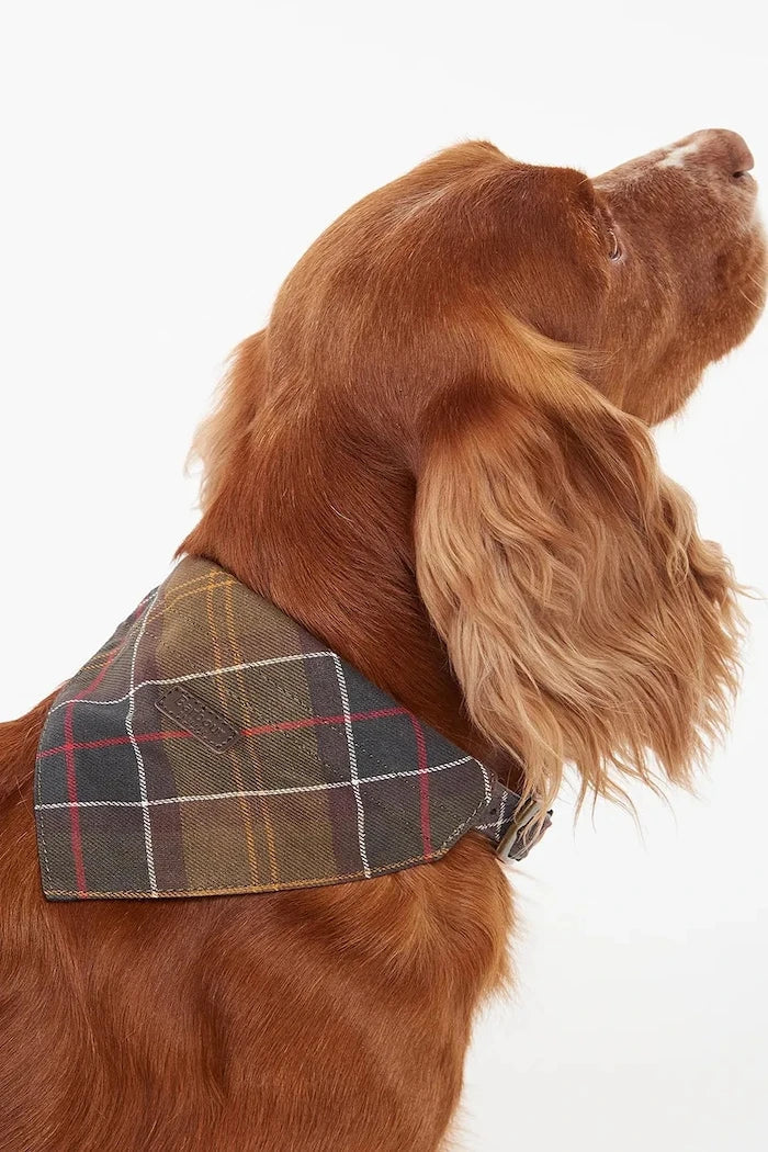 Bandana Barbour Tartan para perro