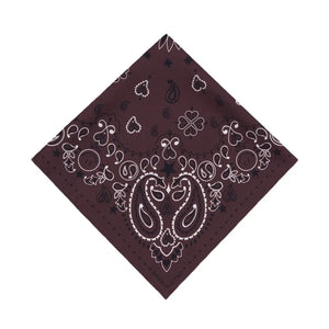 Llámala por tu nombre - Bandana Pequeña Etoile Soie | Café