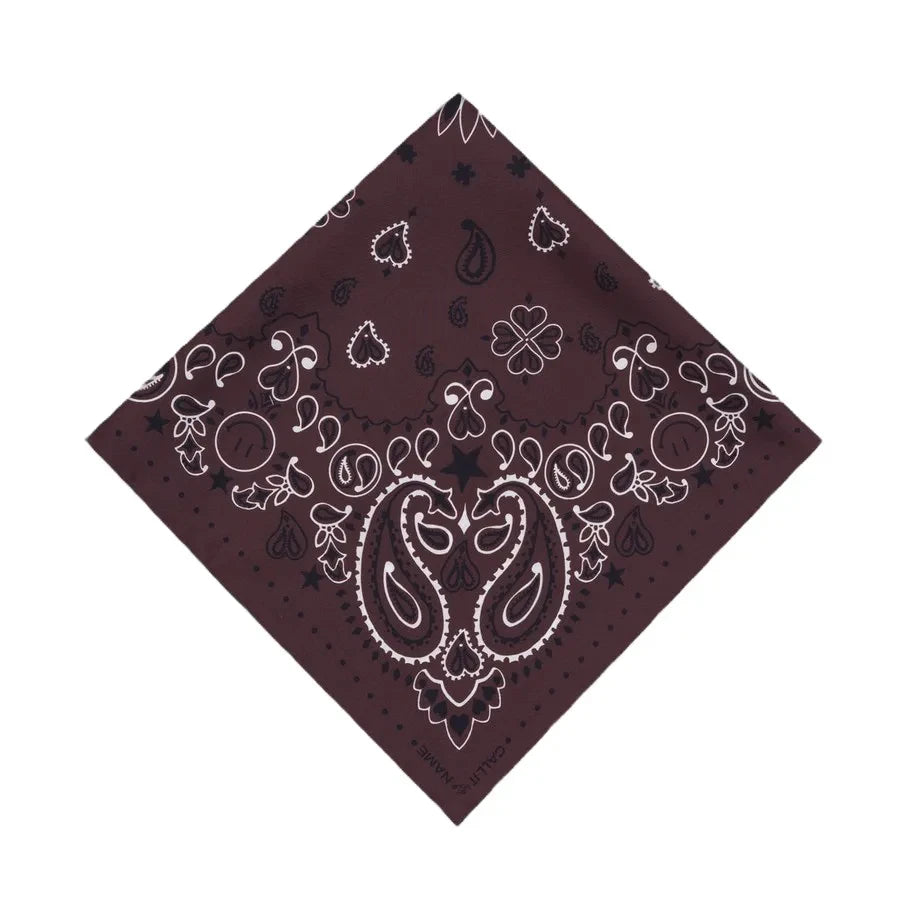 Llámala por tu nombre - Bandana Pequeña Etoile Soie | Café