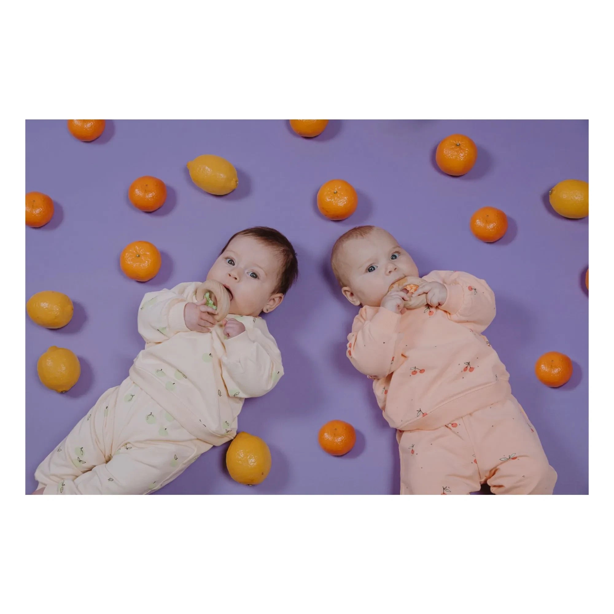 Petit Boum - Donut de Tomate Sensorial