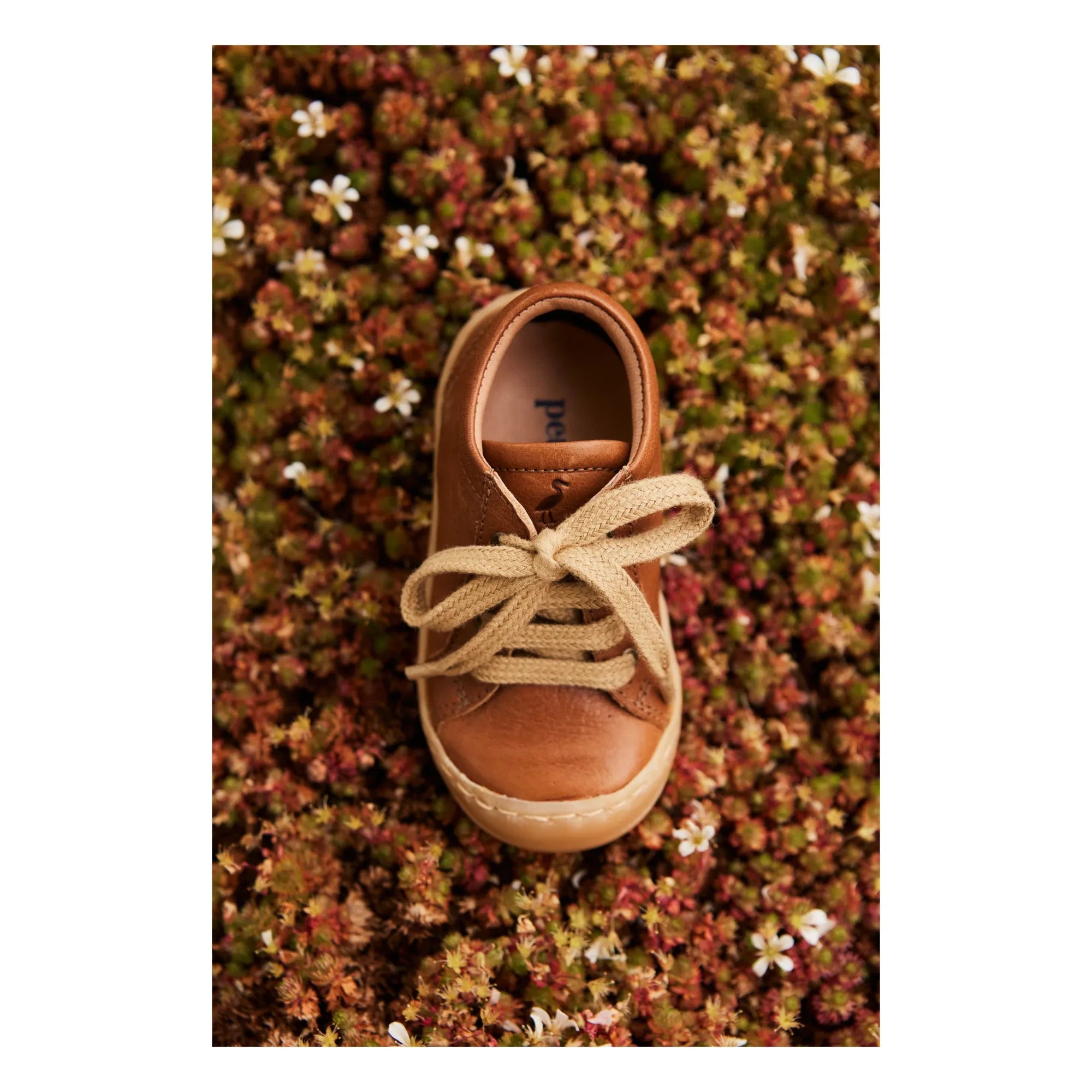 Petit Nord - Zapatillas con Cordones de Uso Diario | Coñac