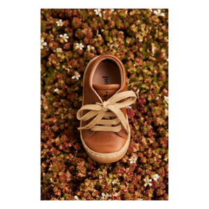 Petit Nord - Zapatillas con Cordones de Uso Diario | Coñac