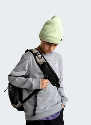 The North Face - Sudadera Simple Done | Gris melange