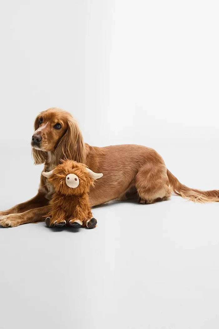 Barbour Highland Cow Juguete para Perro 23 cm
