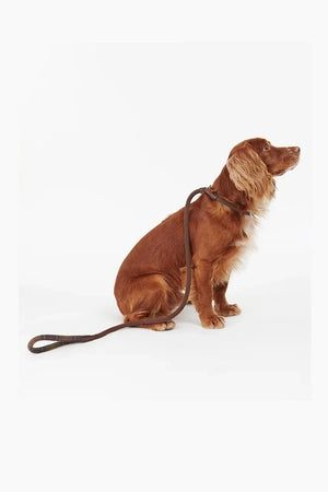 Correa para perros con detalles de tartán Barbour