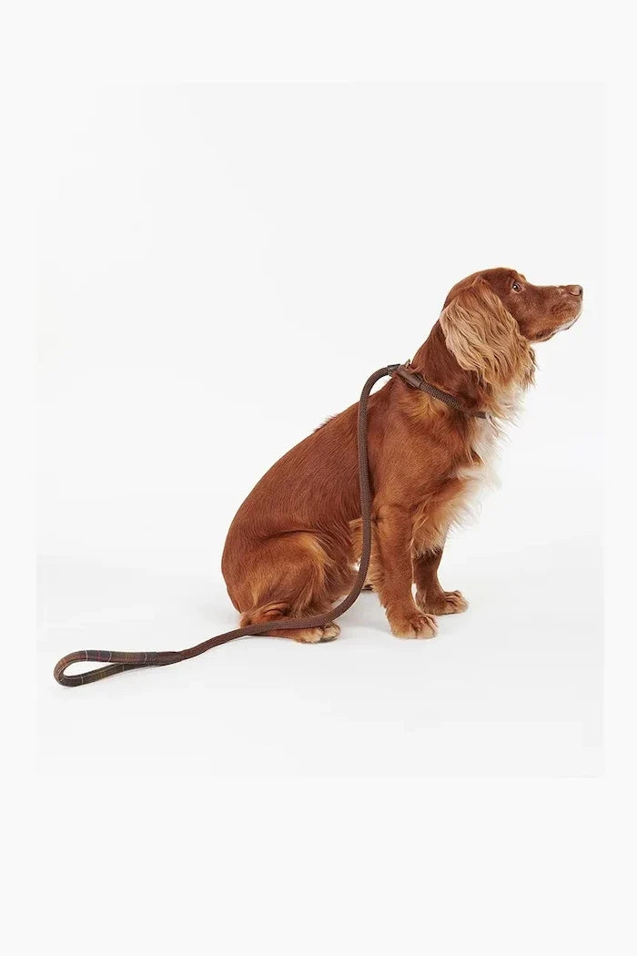Correa para perros con detalles de tartán Barbour